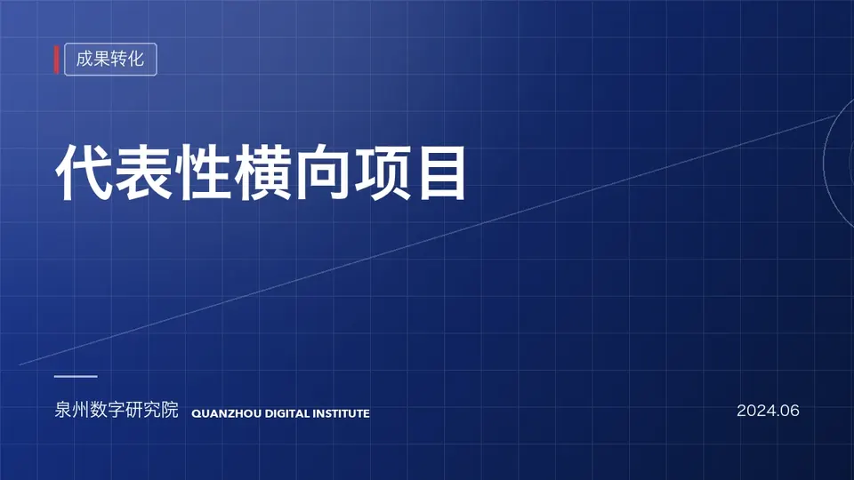 代表性横向项目